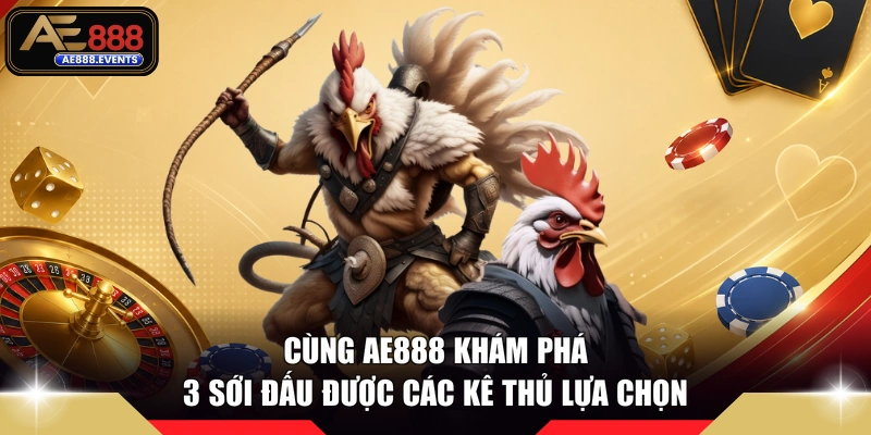 Cùng AE888 khám phá 3 sới đấu được các kê thủ lựa chọn