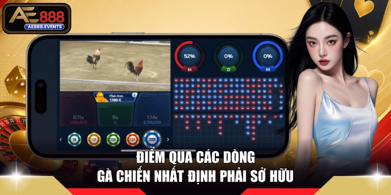 Điểm qua các dòng gà chiến nhất định phải sở hữu