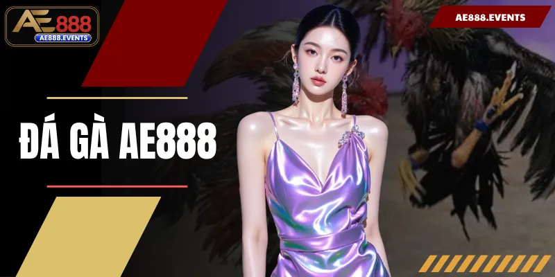 Đá Gà AE888 - Bùng Nổ Cảm Xúc Cùng Hơn 100 Trận Chiến Cam Go