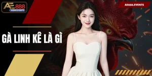 Gà Linh Kê Là Gì? Giải Mã 10 Đặc Điểm Nhận Biết Chuẩn